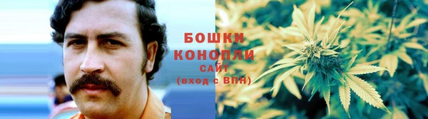 амф Беломорск