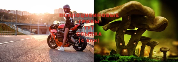 амф Беломорск